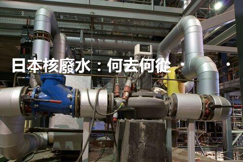 日本核廢水：何去何從？
